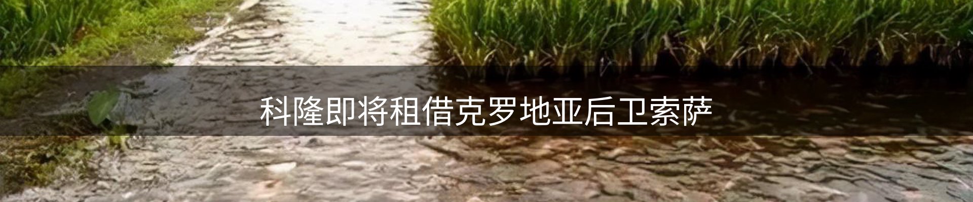 官方消息